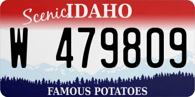 ID license plate W479809