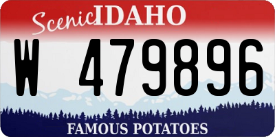 ID license plate W479896