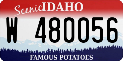 ID license plate W480056
