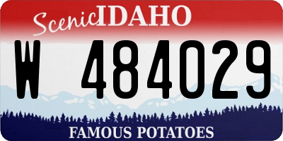 ID license plate W484029