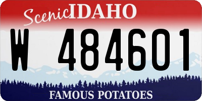 ID license plate W484601