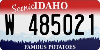 ID license plate W485021
