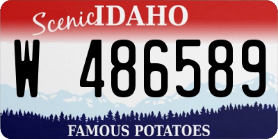 ID license plate W486589