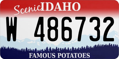 ID license plate W486732