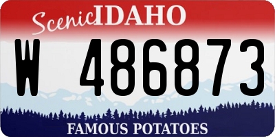 ID license plate W486873