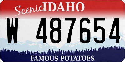 ID license plate W487654