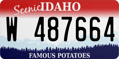 ID license plate W487664