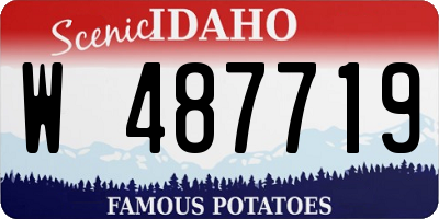ID license plate W487719