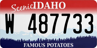 ID license plate W487733