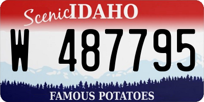 ID license plate W487795