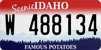 ID license plate W488134