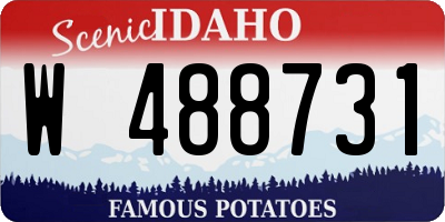 ID license plate W488731
