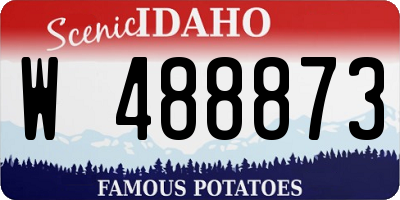 ID license plate W488873