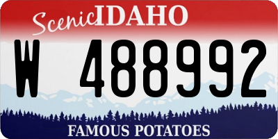 ID license plate W488992