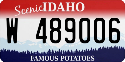 ID license plate W489006