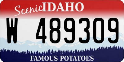 ID license plate W489309