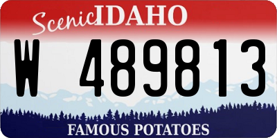 ID license plate W489813