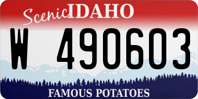 ID license plate W490603