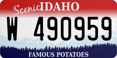 ID license plate W490959