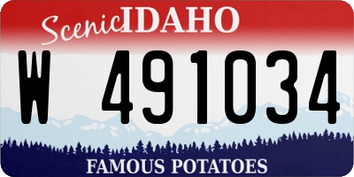 ID license plate W491034
