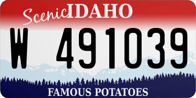 ID license plate W491039