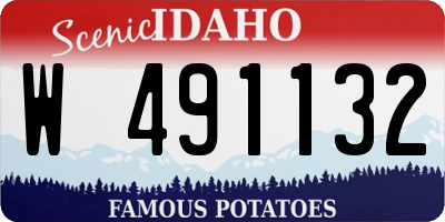 ID license plate W491132
