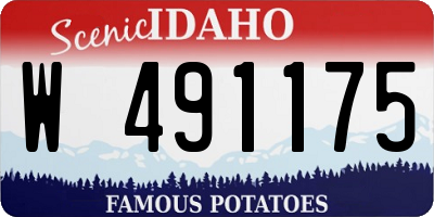 ID license plate W491175