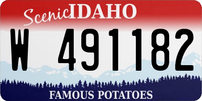 ID license plate W491182