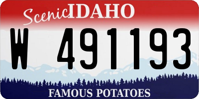 ID license plate W491193