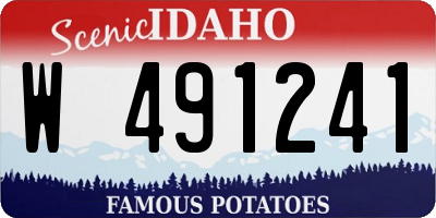 ID license plate W491241