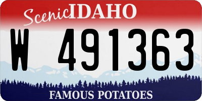 ID license plate W491363