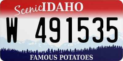 ID license plate W491535