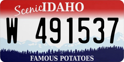 ID license plate W491537