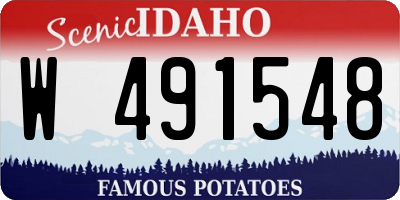 ID license plate W491548