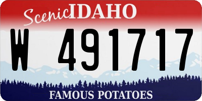 ID license plate W491717