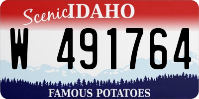 ID license plate W491764