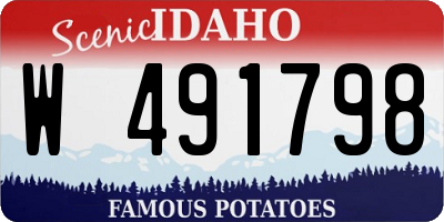 ID license plate W491798