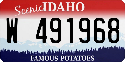 ID license plate W491968