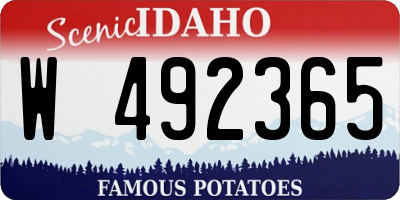 ID license plate W492365