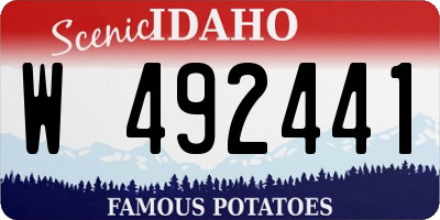 ID license plate W492441