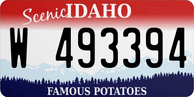 ID license plate W493394