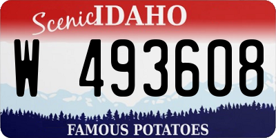 ID license plate W493608