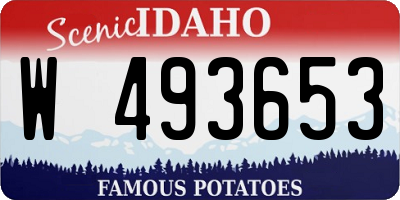 ID license plate W493653
