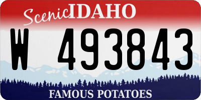 ID license plate W493843