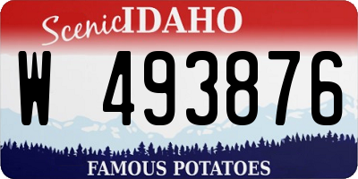 ID license plate W493876