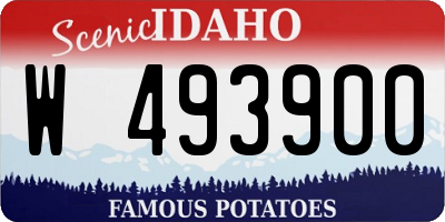 ID license plate W493900