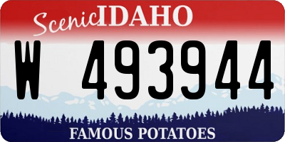 ID license plate W493944