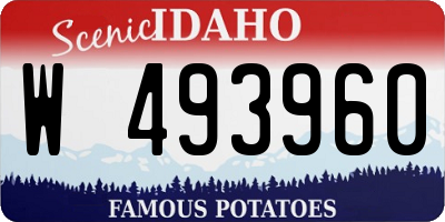 ID license plate W493960