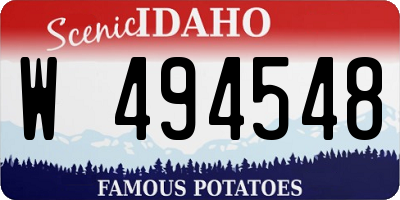 ID license plate W494548