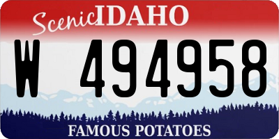 ID license plate W494958
